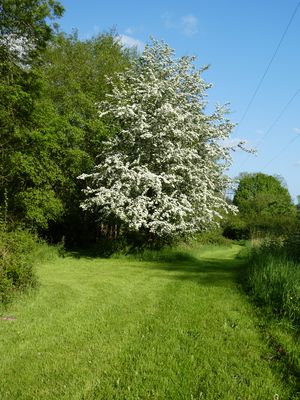 Photo 20- click for photo gallery